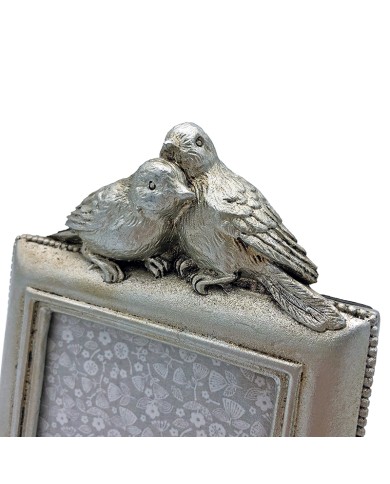 Zilveren Fotolijst met Vogeltjes