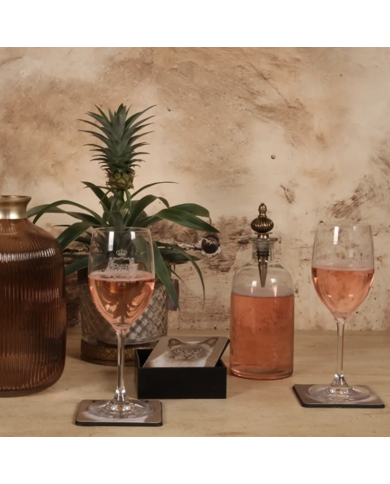 Onderzetters met Katten Print