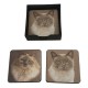 Coasters with Cat Print