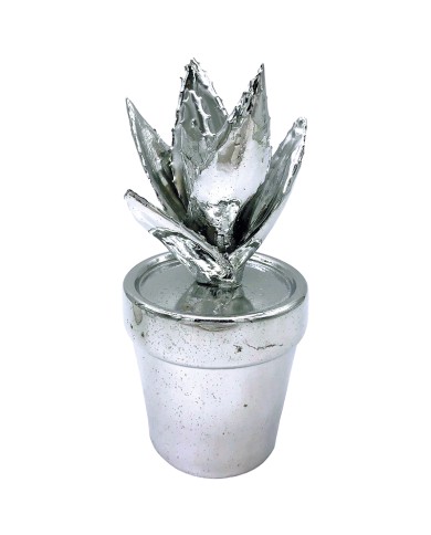 Succulent Cactus Ornament Set