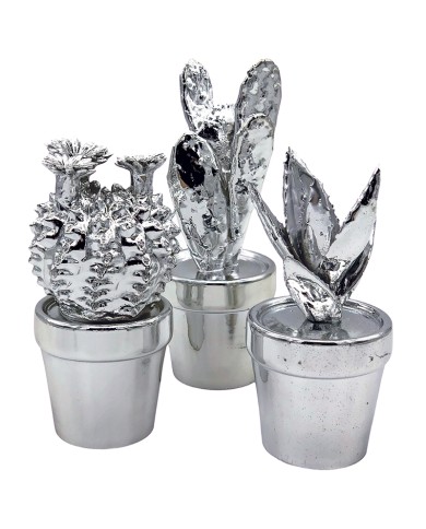 Succulent Cactus Ornament Set