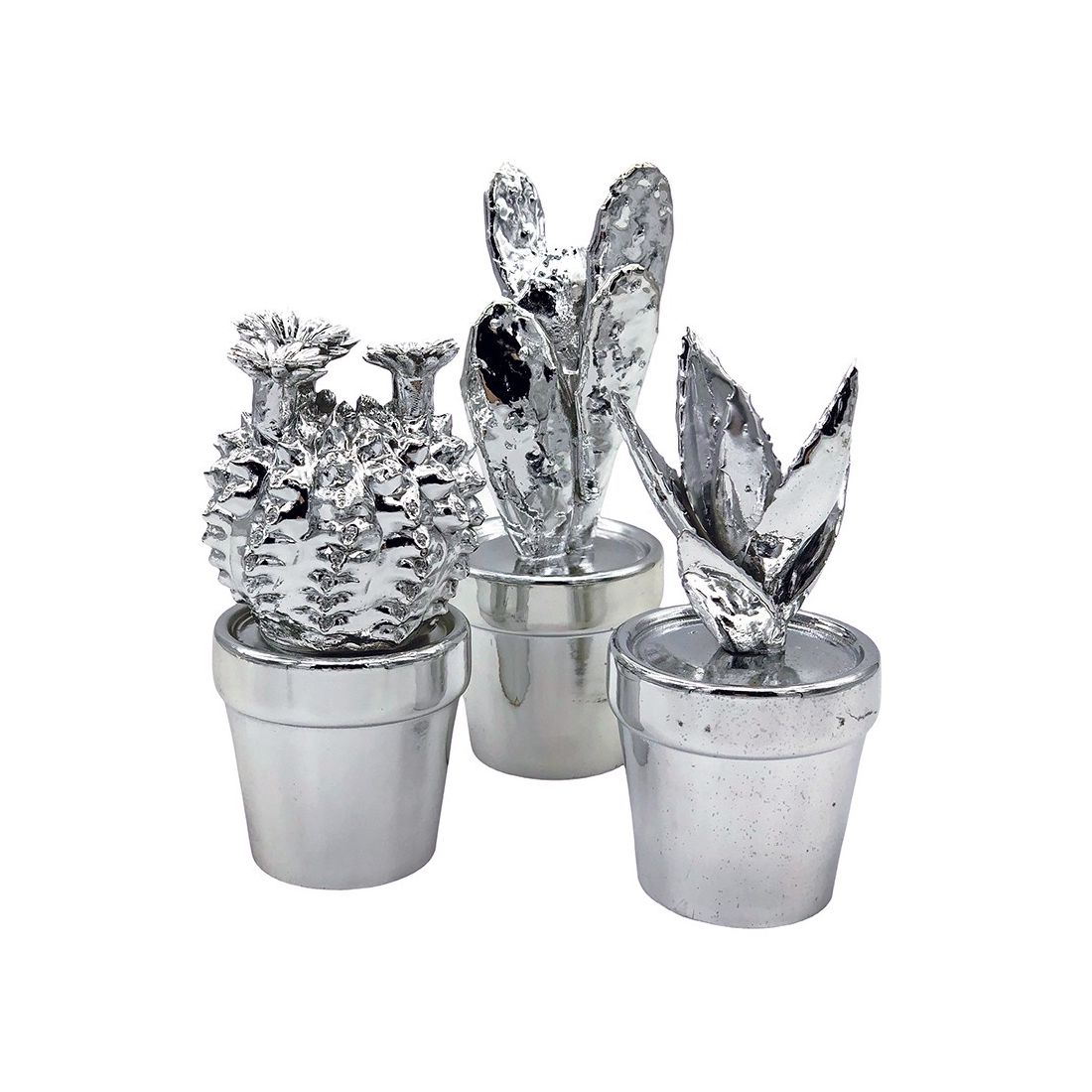 Succulent Cactus Ornament Set