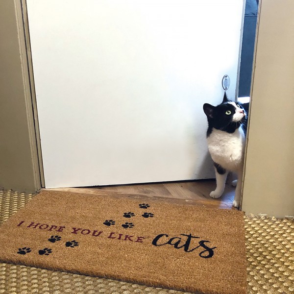 Doormat with Cat's Pawprints