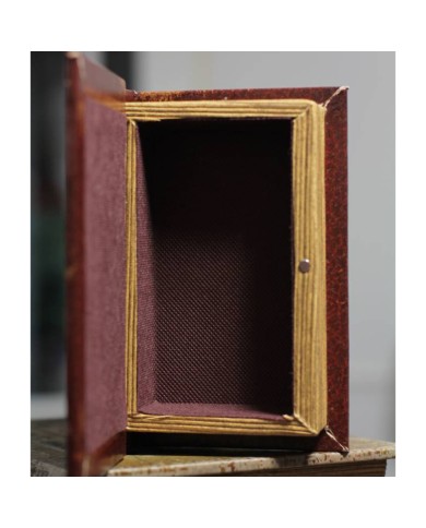 Vintage Book Box Moths