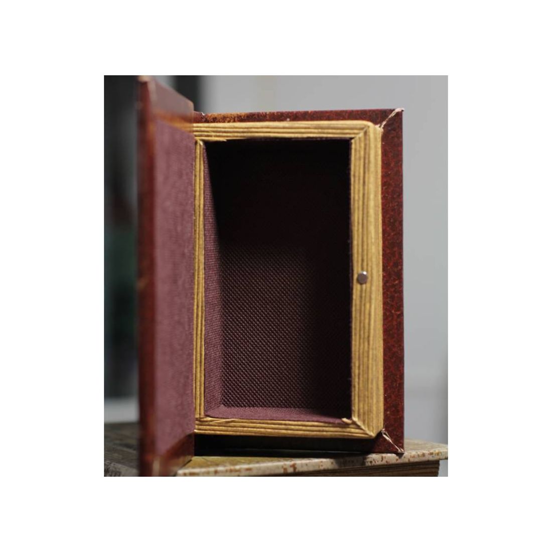 Vintage Book Box Parrots