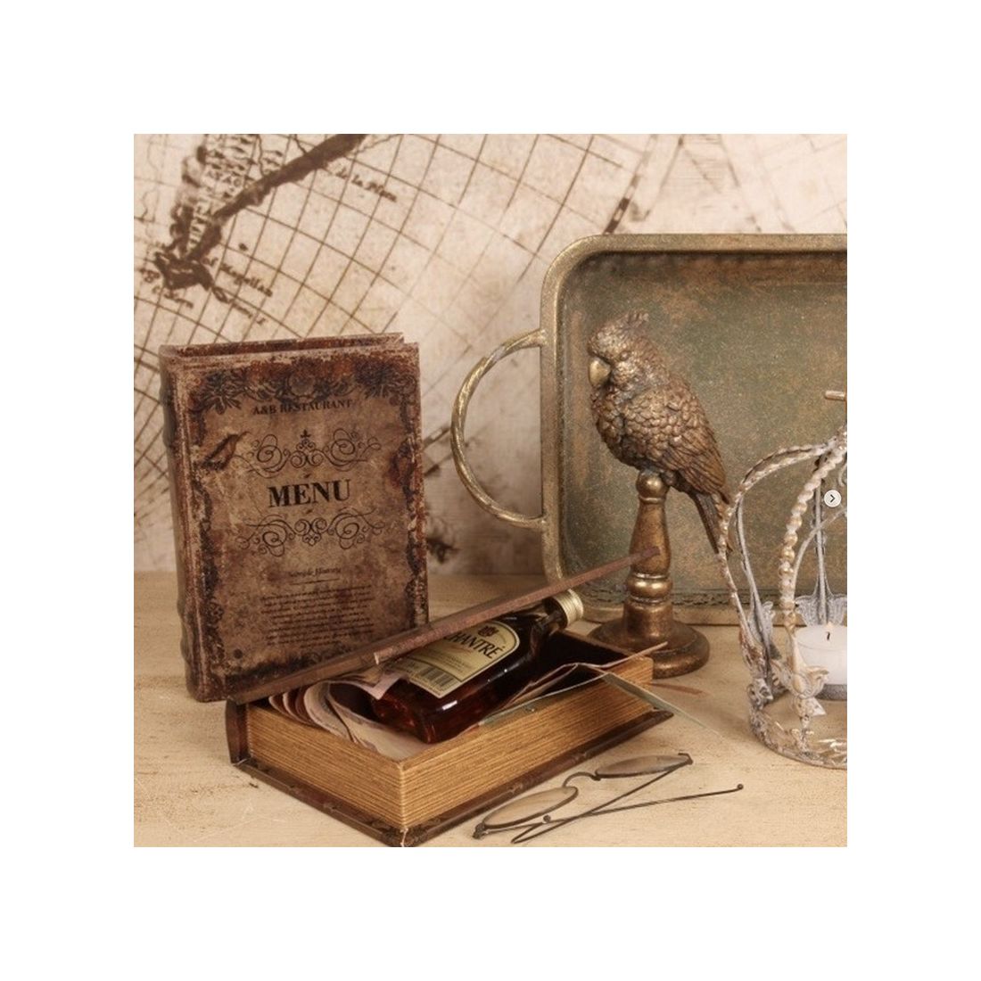 Vintage Book Box Parrots