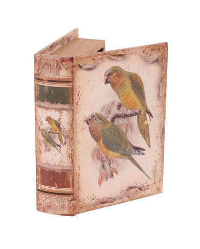 Vintage Book Box Parrots