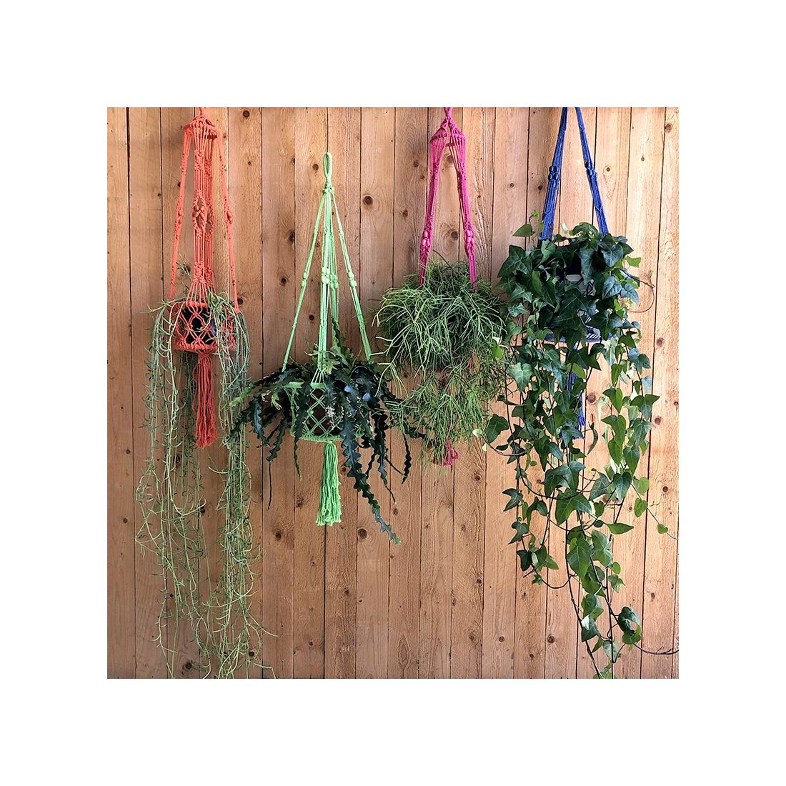Macramé Plantenhanger Oranje