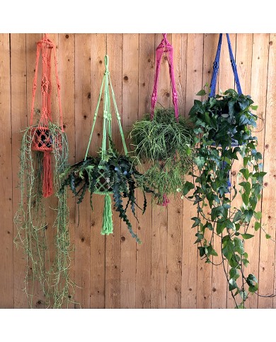 Macramé Plantenhanger Blauw