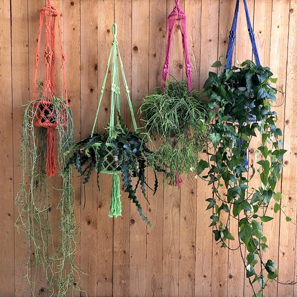 Macramé Plantenhanger Groen