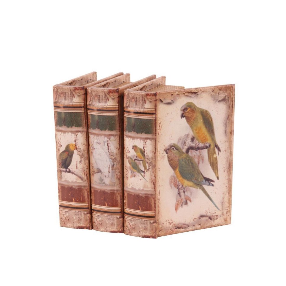 Vintage Book Box Parrots