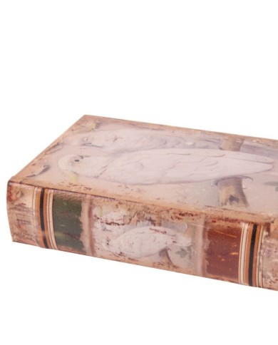 Vintage Book Box White Parrots