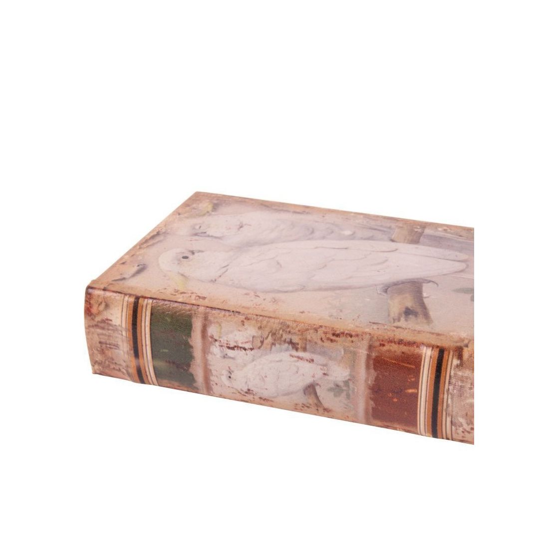 Vintage Book Box White Parrots