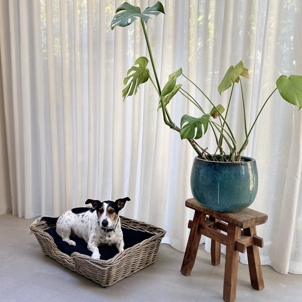 Kubu Rattan Dog Basket