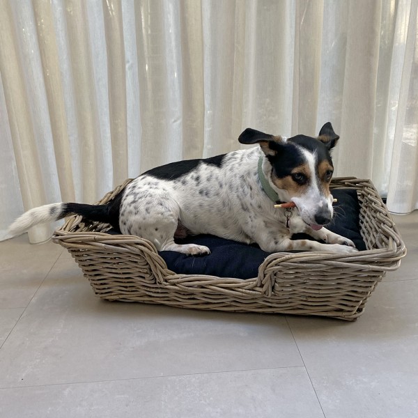 Kubu Rattan Dog Basket