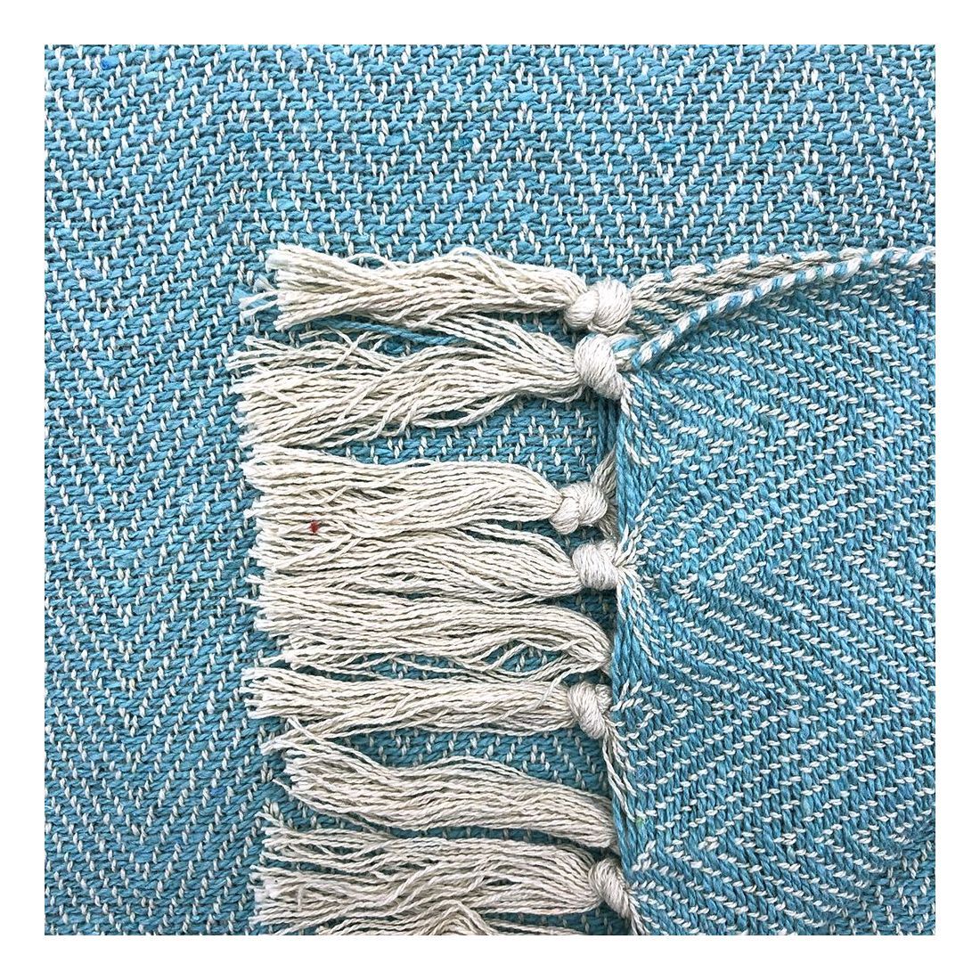 Geweven Katoenen Plaid Blauw Geweven Katoenen Plaid Blauw