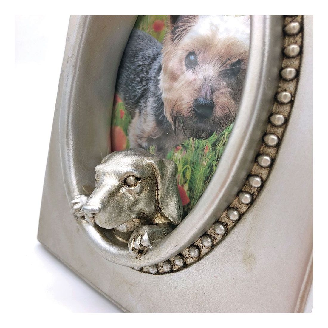 Fotolijstje Hond in Zilver Fotolijstje Hond in Zilver