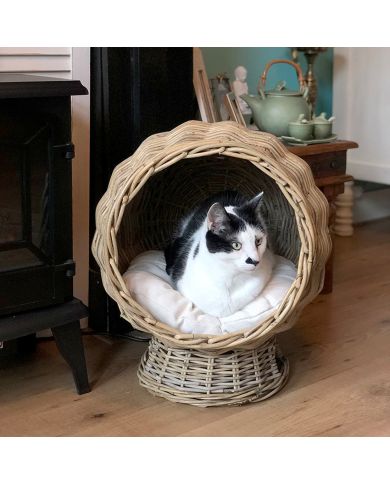 A black and white cat sits comfortably in a rattan cat basket, surrounded by a charming home interior. A black and white cat sits comfortably in a rattan cat basket, surrounded by a charming home interior.