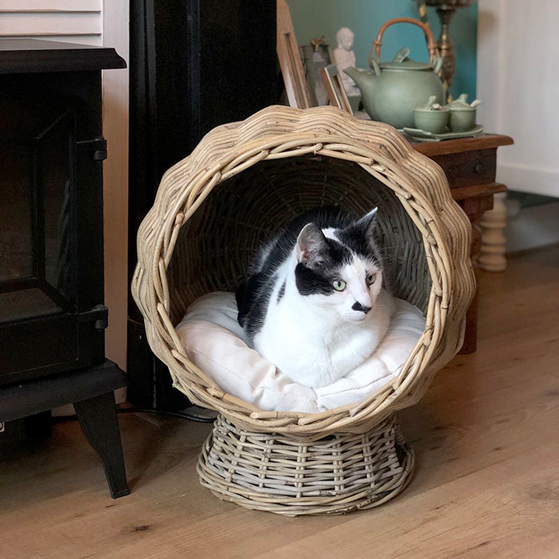 A black and white cat sits comfortably in a rattan cat basket, surrounded by a charming home interior.