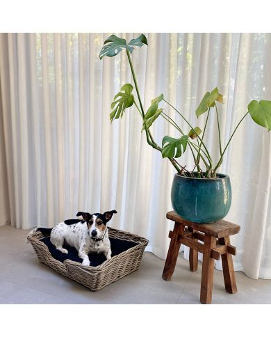 Kubu Rattan Dog Basket Kubu Rattan Dog Basket