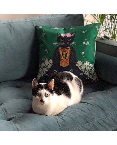 Een zwart-witte kat ligt opgekruld op een bank, naast een groen Frida Kahlo kussen.
