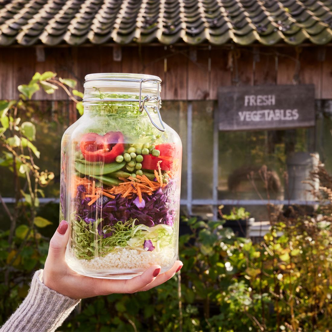 A hand holds a large preserving jar filled with colourful layers of fresh vegetables, set against a rustic garden backdrop. A hand holds a large preserving jar filled with colourful layers of fresh vegetables, set against a rustic garden backdrop.