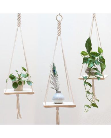 Three macramé hanging plant holders feature greenery, a decorative feather, and a sleek vase.