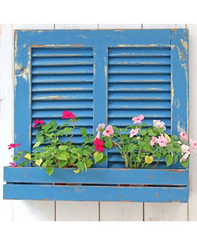 An upcycled planter made from bluewash shutters, adorned with vibrant pink and white flowers. An upcycled planter made from bluewash shutters, adorned with vibrant pink and white flowers.
