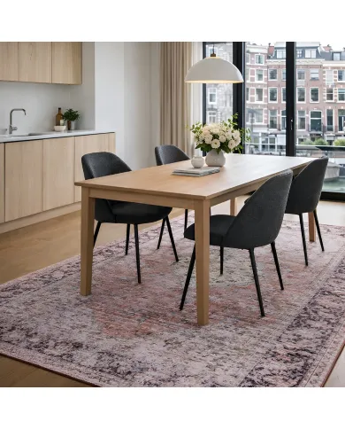 Persian Rug Izgi - a Persian design with a distressed look