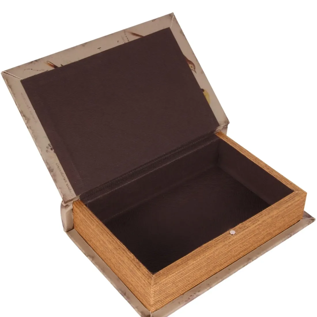 Vintage Book Box Birdwatching