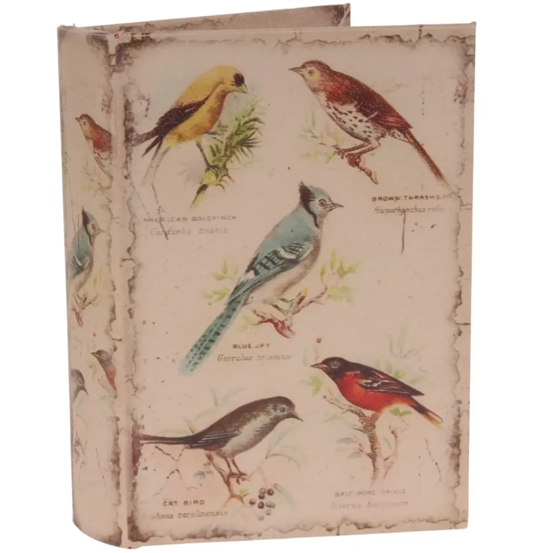Vintage Opbergboek Vogelspotten