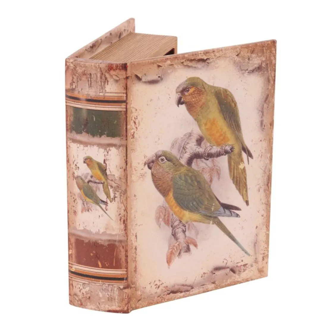 Vintage Book Box Parrots