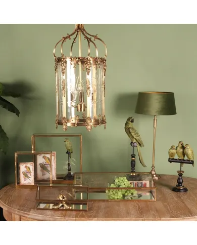 Vintage Book Box Parrots