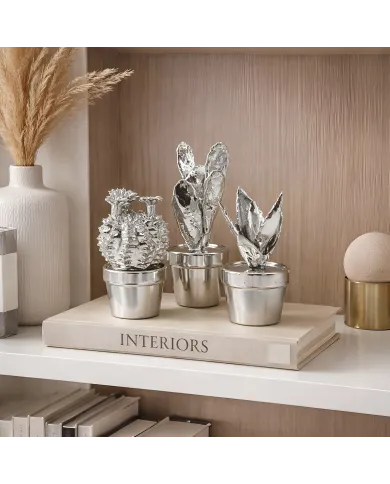 Cactus Ornamenten Set