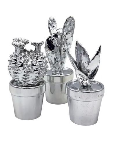 Succulent Cactus Ornament Set