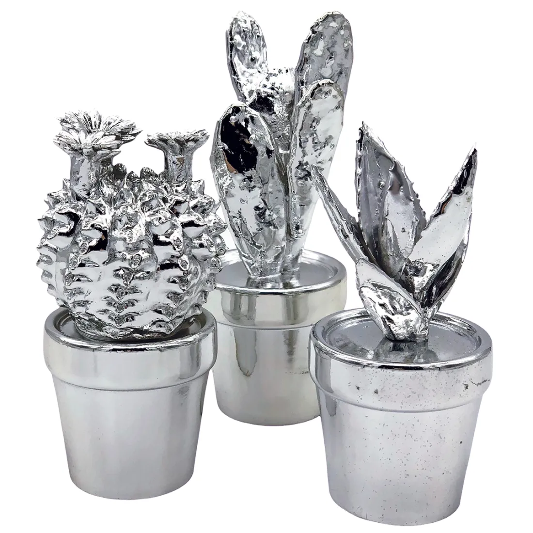 Cactus Ornamenten Set