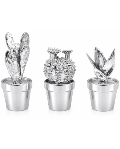 Cactus Ornamenten Set