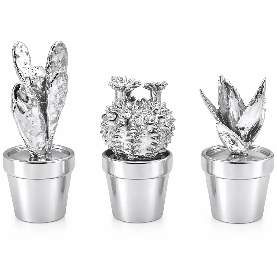 Cactus Ornamenten Set