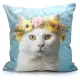 Kat met Bloemenkroon Blauwe Kussen