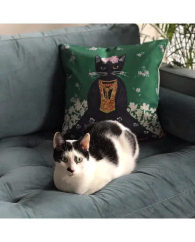 A black and white cat is curled up on a sofa, beside a green Frida Kahlo cushion.