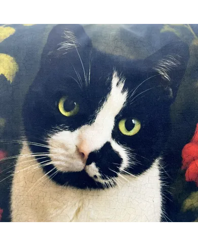 Cat Cushion Cover Midnight Whiskers