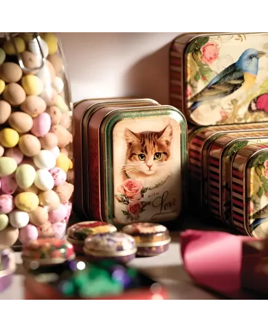Nostalgia Cat Tin Box