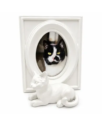 Een katten fotolijst in een wit vintage frame met een kattenfiguurtje.