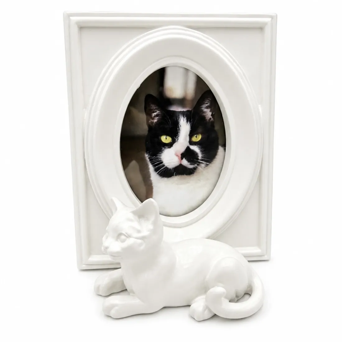 Een katten fotolijst in een wit vintage frame met een kattenfiguurtje.