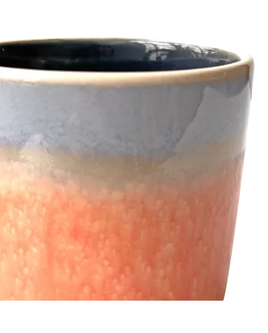 Coral Reef Mug Set