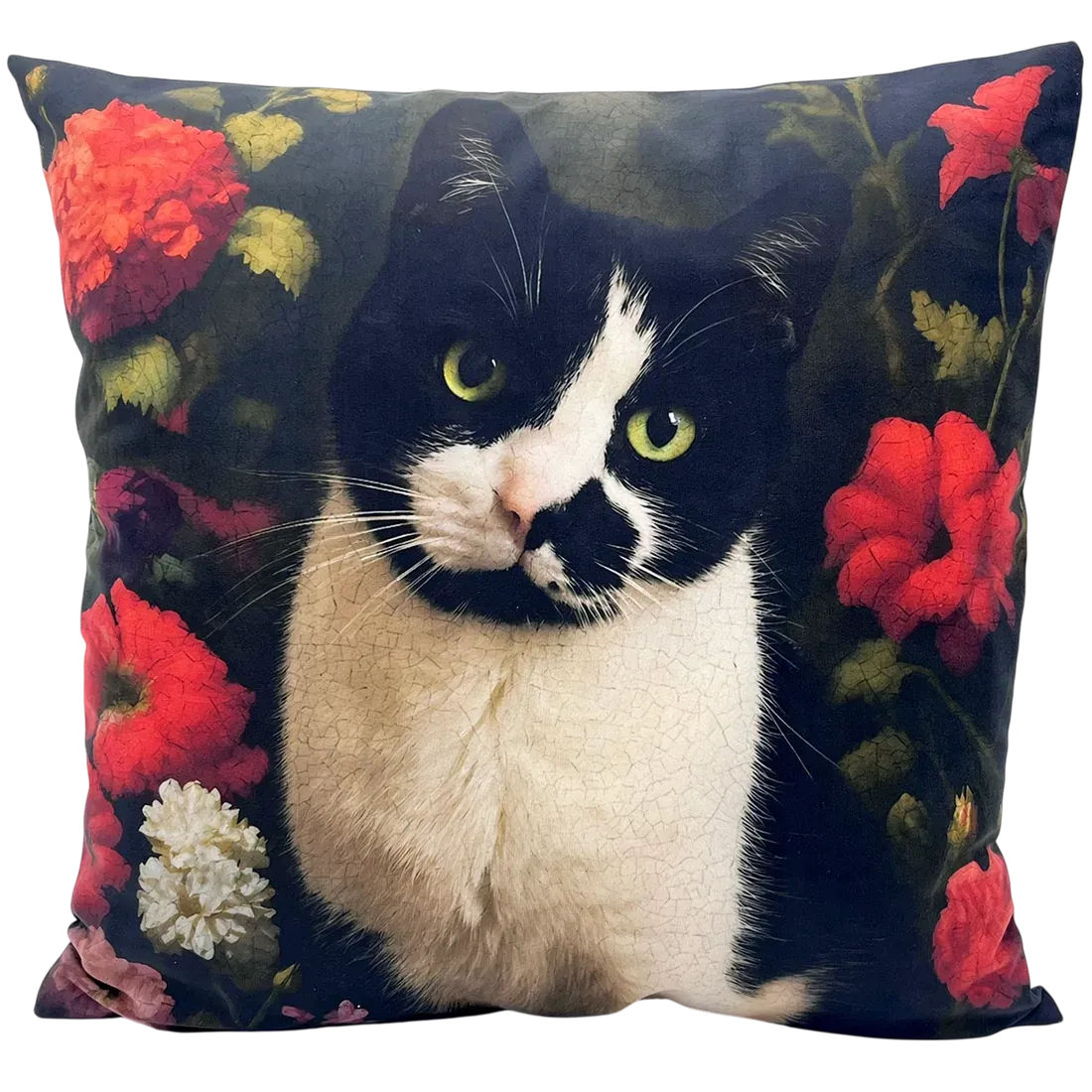 Katten Kussen Midnight Whiskers