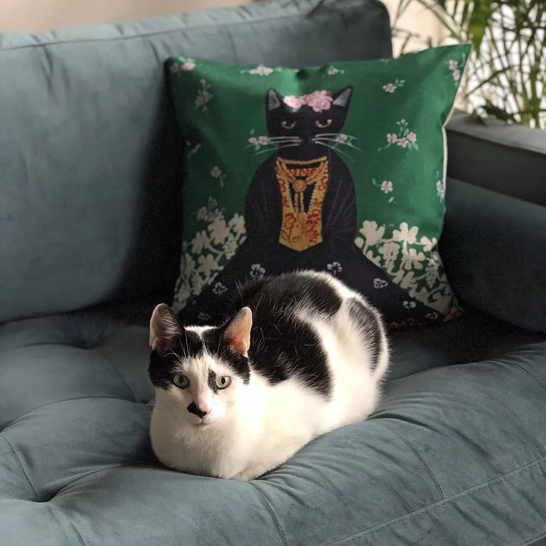 A black and white cat is curled up on a sofa, beside a green Frida Kahlo cushion.