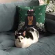 Een zwart-witte kat ligt opgekruld op een bank, naast een groen Frida Kahlo kussen.