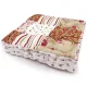 Paisley Delight Box Cushion