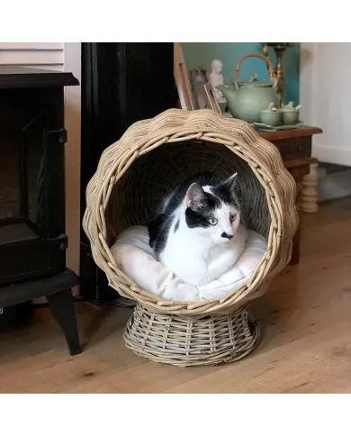 A black and white cat sits comfortably in a rattan cat basket, surrounded by a charming home interior.